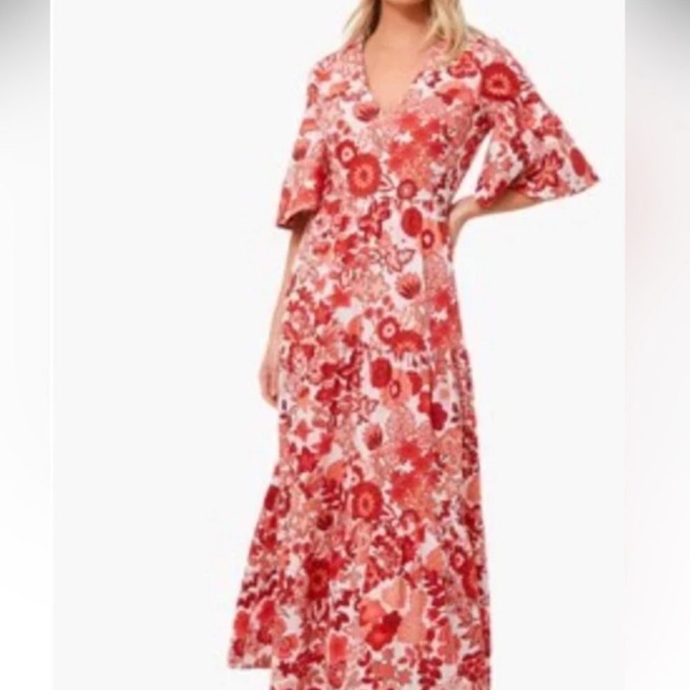 Tuckernuck Spiced Chintz Ginger Dress Size M in perfect condition doesn’t fit me - Picture 2 of 8